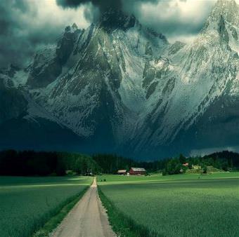 picture