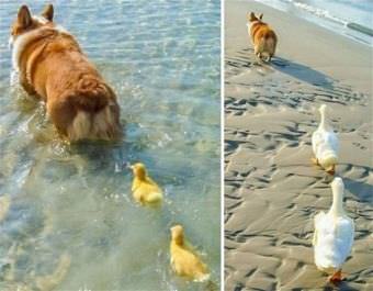 Latest, Page 11 | My.Evilmilk