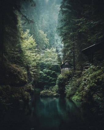 picture