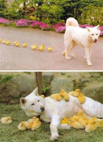 picture