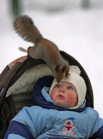 picture