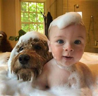 picture