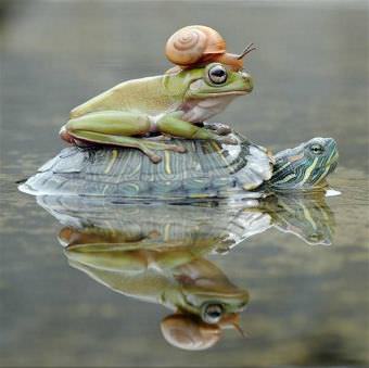 picture