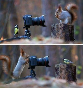 picture