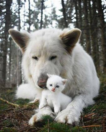 picture