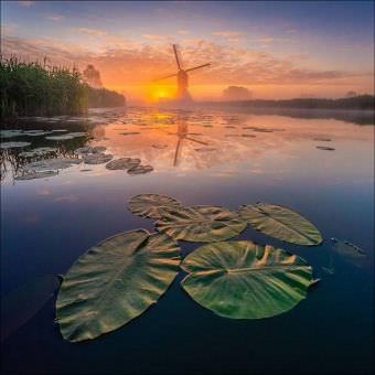 picture