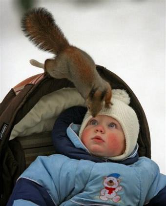 picture