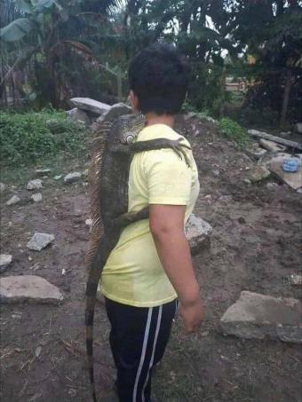 picture