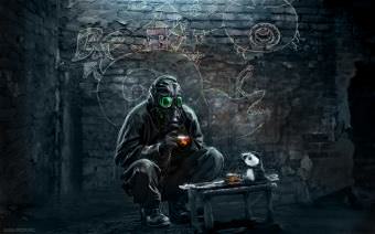 picture