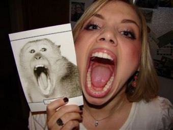 picture