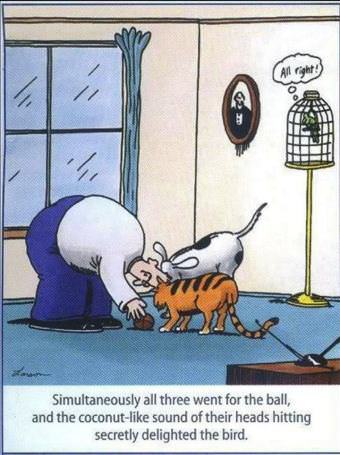 picture