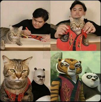 picture