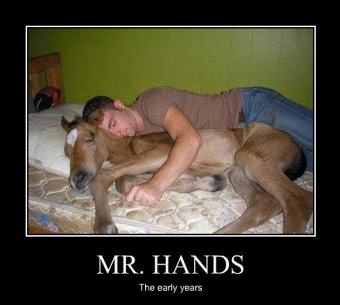 picture