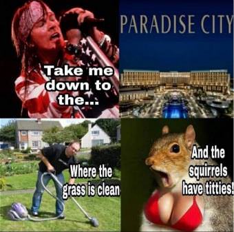 picture