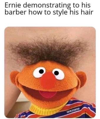 picture