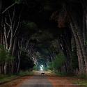 Parco Naturale Migliarino San Rossore Massaciuccol