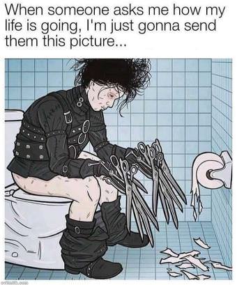 picture