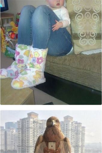 picture
