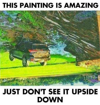 picture