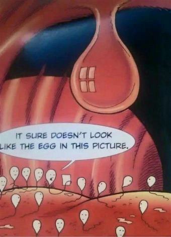 picture