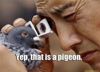picture