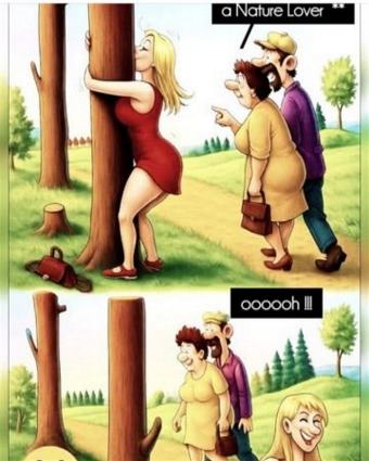 picture