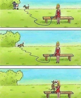 picture