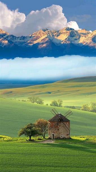 picture