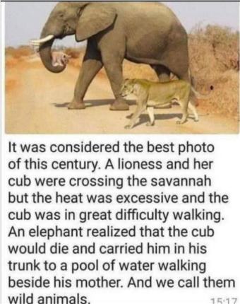 picture