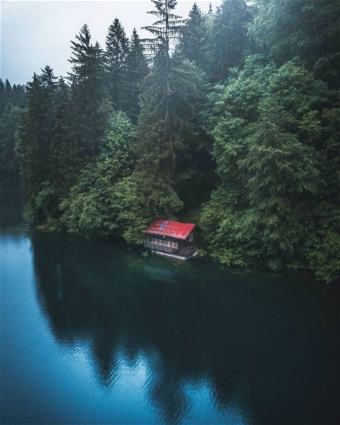 picture