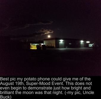picture