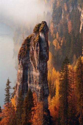 picture