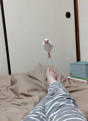 picture