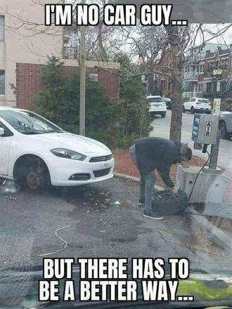 picture