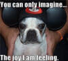 Can Only Imagine