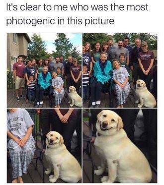 picture