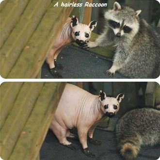 picture