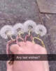 Last Wishes
