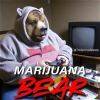 Marijuana Bear