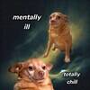Totally Chill