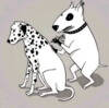 My Dots