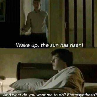 picture