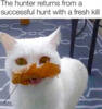 Succesful