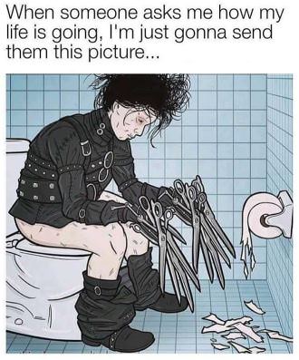 picture