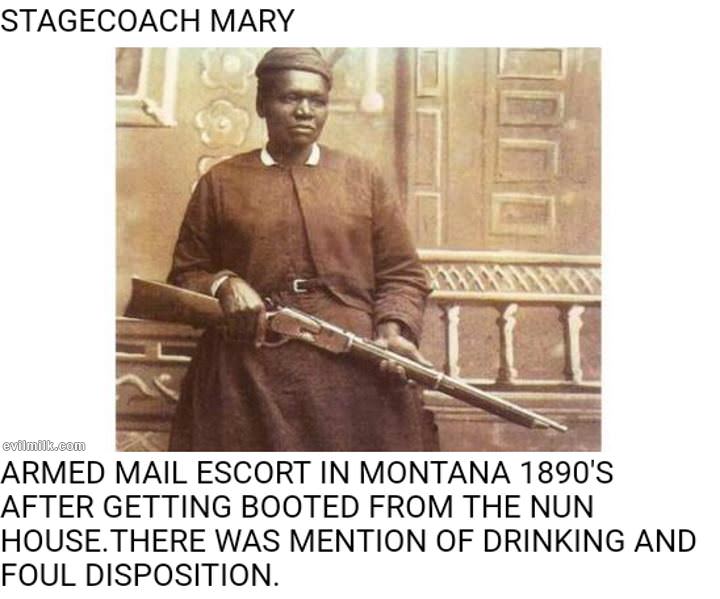 Billings Mt Escort
