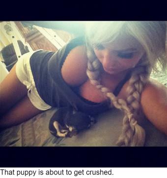 picture