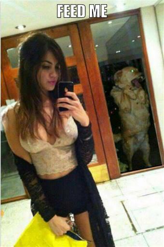 picture