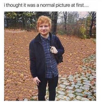 picture