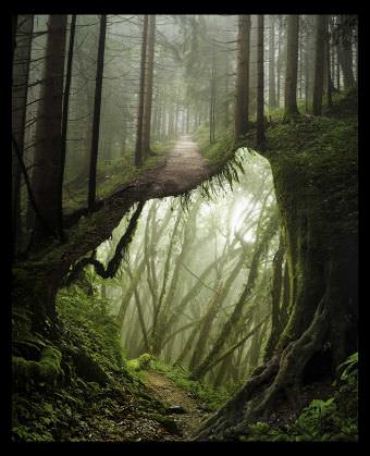 picture