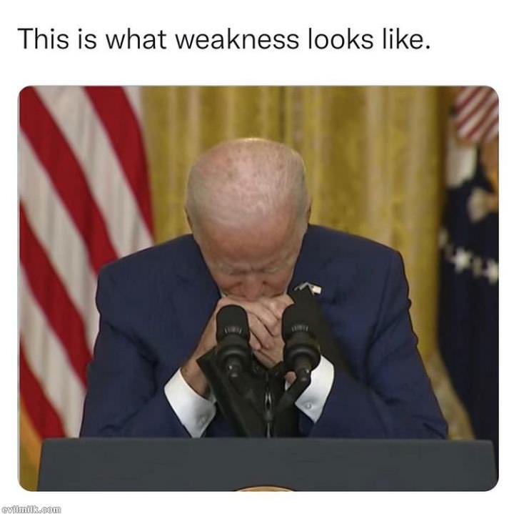 tx-24drh6.jpg
